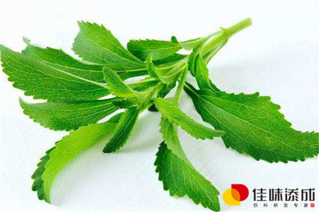 濟南果酒定制飲料配方研發(fā)與技術轉讓方案